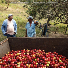 Filterkaffee RIO BOACO (BIO)